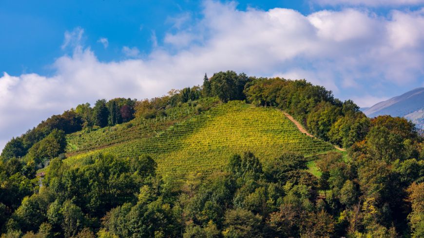 the route of the Valdobbiadene hills