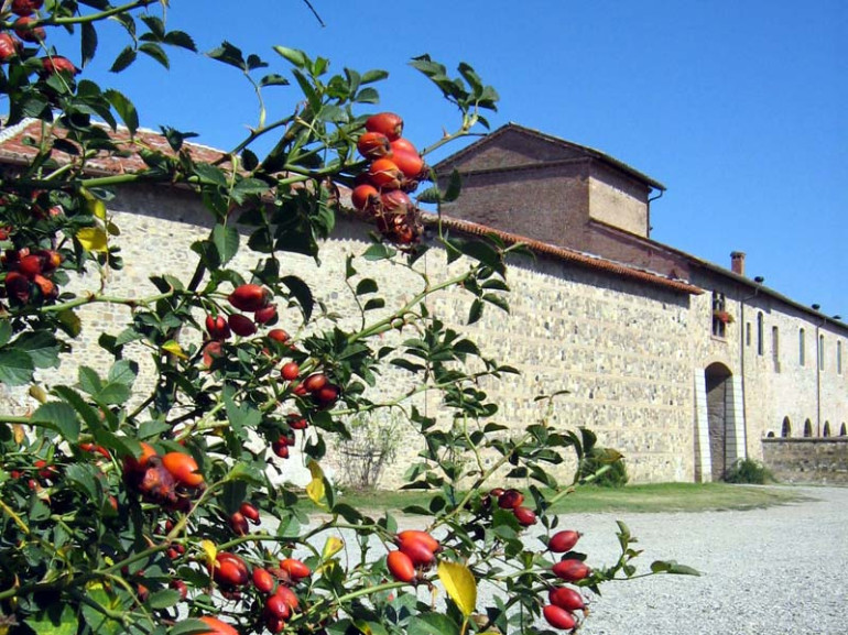 Antica corte di Giarola, Parco del Taro, Parma, Emilia Romagna