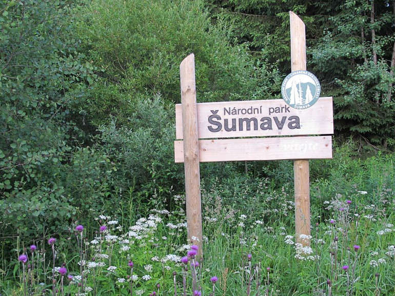 Sumava National Park