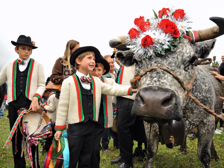 Traditional festival of Cogne