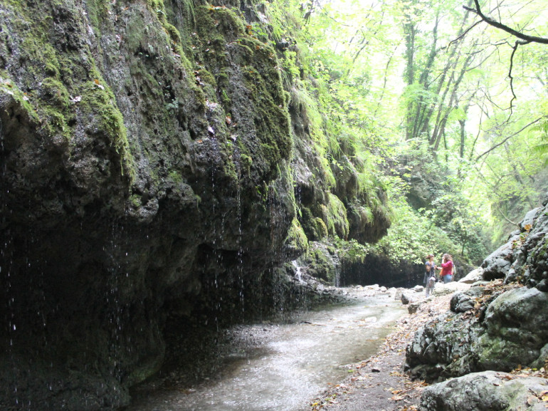 Riserva naturale della Valle delle Ferriere.