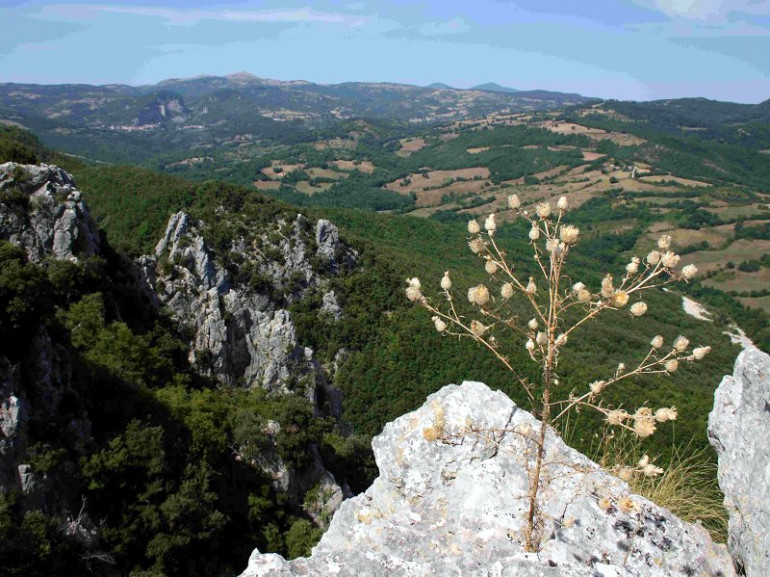 Riserva Naturale di Bosco Rocconi, Grosseto, Toscana