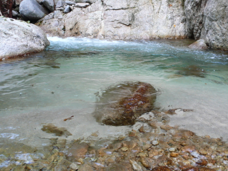 Piscina naturale lungo il corso del fiume Assi, Calabria