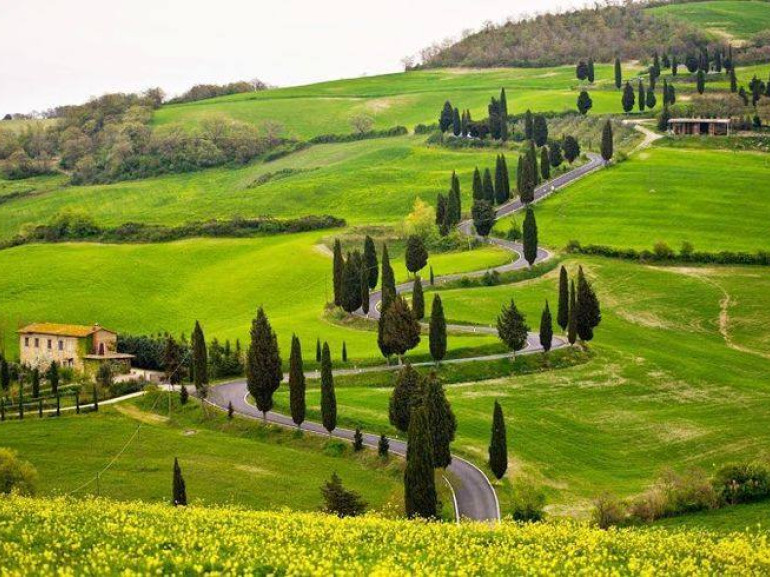 Colline morbide punteggiate da cipressi e da antiche aziende agricole, molte delle quali convertite all'agricoltura biologica e all'ospitalità eco-friendly, Toscana, Italia