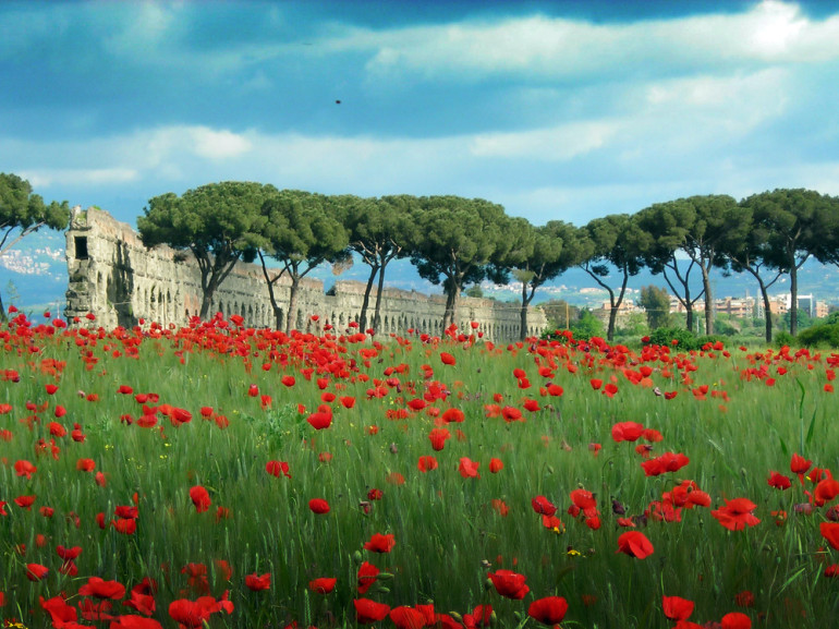 Le rovine di Roma circondate dal verde punteggiato dal rosso dei papaveri in primavera.