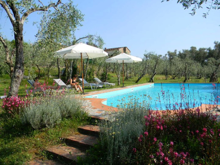 La piscina tra gli ulivi di Villa Gaia, casa vacanza eco-friendly a Camaiore, Versilia