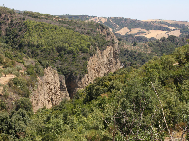 il canyon dall'Alto: verticali pareti rocciose spuntano tra il fitto bosco