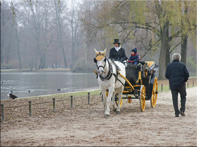 una carrozza trainata da cavalli lungo le strade di sassi che attraversano il parco