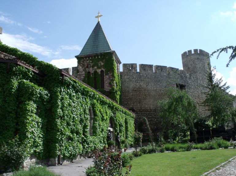 le mura coperte di edera e parte della fortezza al loro interno