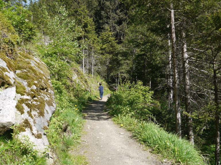 Valle Aurina, sentiero che porta alla Cascata Schwerzbach da Lutago
