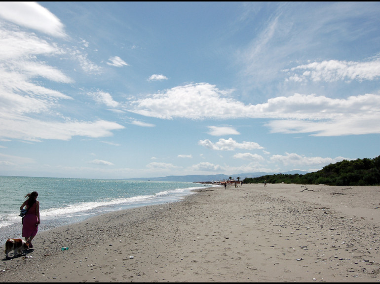 spiaggia di sabbia e mare. Una persona con il cane camimna lungo la riva