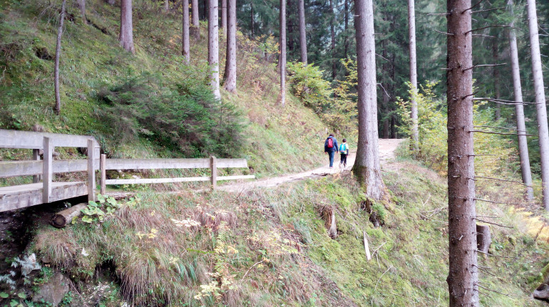 Sentiero nel bosco verso le Cascate di Stanghe