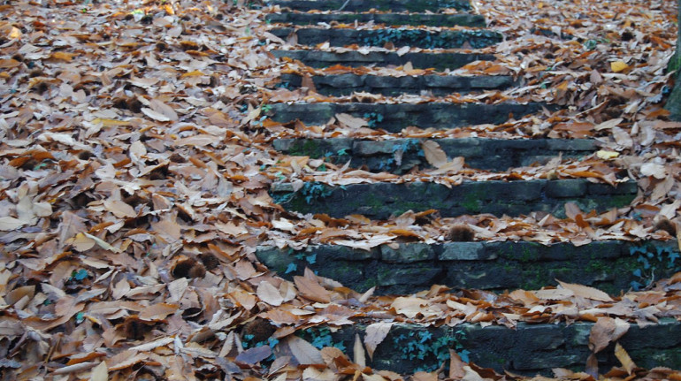 una scala di pietra ricoperta di foglie secche autunnali